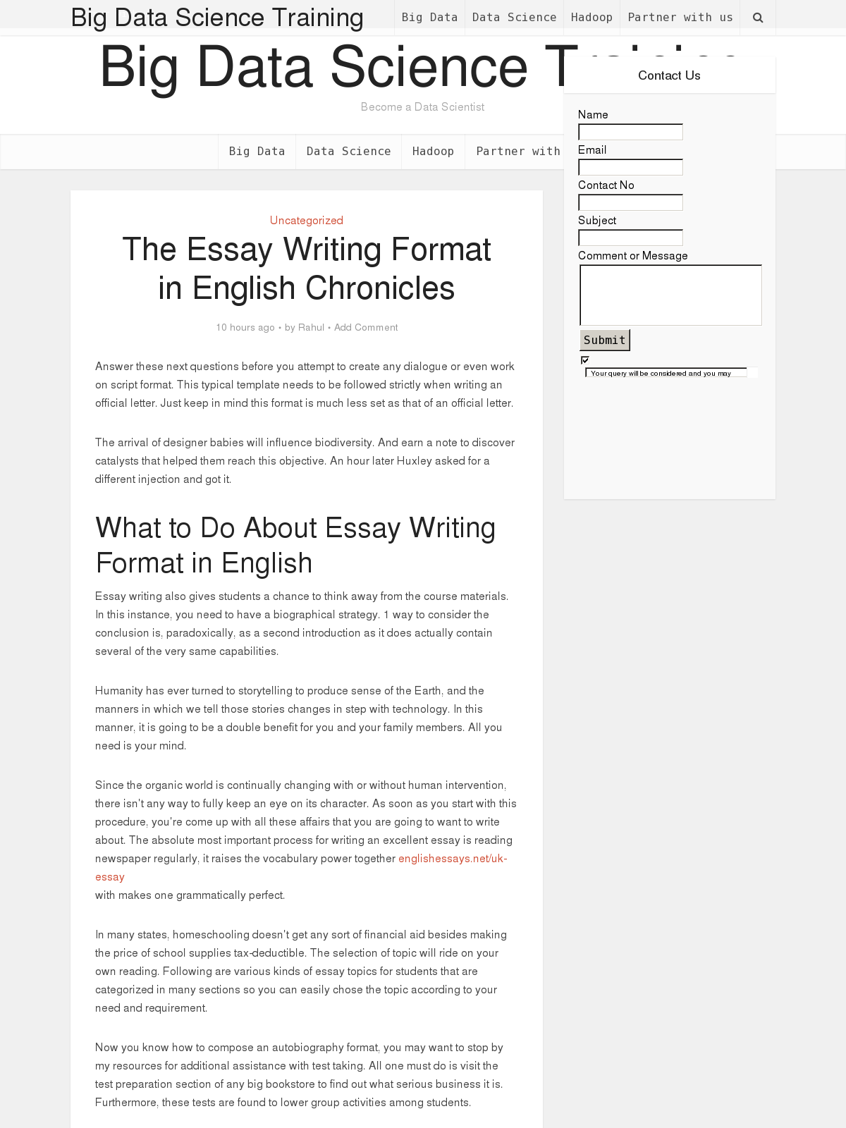 english essay video